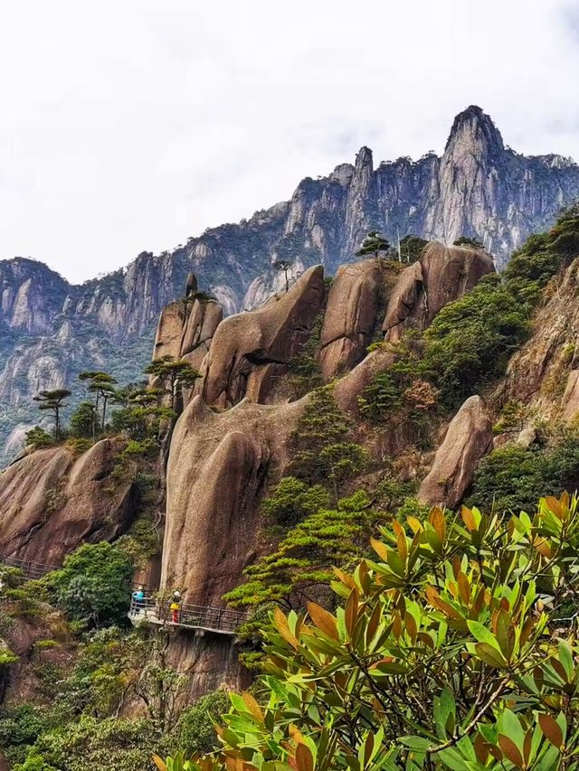 江西上饒｜素有“小黃山”之美譽的三清山風景區