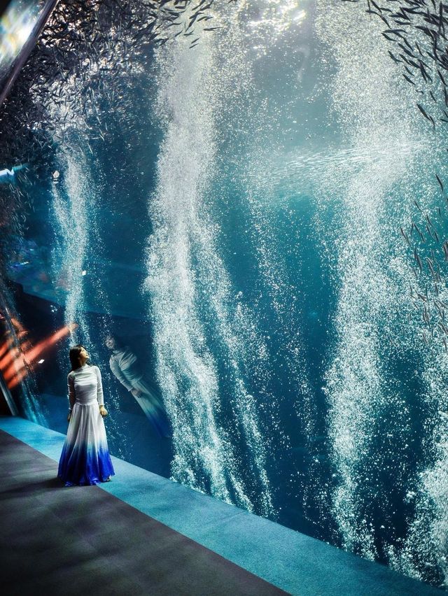 日本水族館大集合！📸
