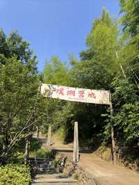 住進群山環抱的竹海，來一場森系療癒