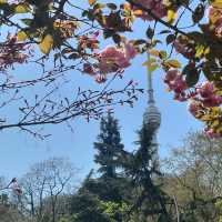 《武漢龜山電視塔：城市之巔的視覺盛宴》