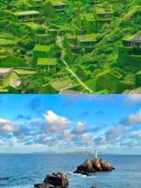 聽勸來的，太值了