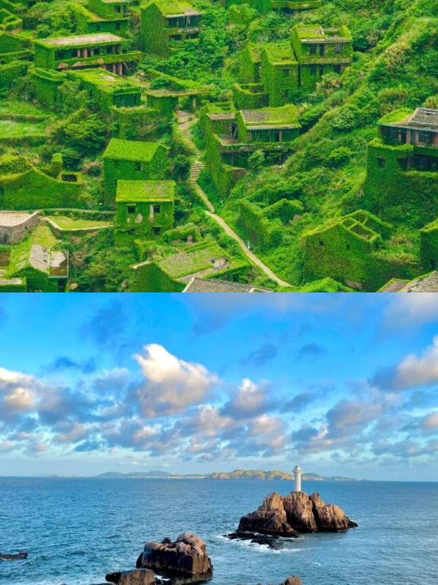聽勸來的，太值了