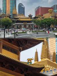 上海免費出片的 Citywalk 路線，讓你一天內打卡多個拍照點