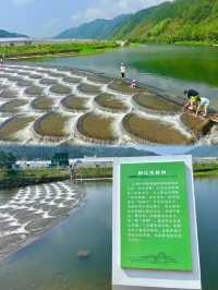 發現江浙滬最適合玩水的小城人少景美敲開心