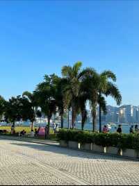 探索香港隱秘瑰寶：西九龍海濱長廊City Walk版