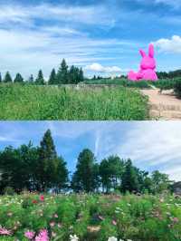 20幾度的夏天養老避暑勝地