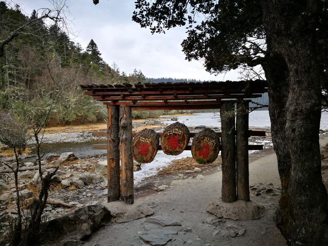 普達措國家公園—全家雲南遊之香格里拉2日