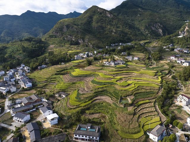 世界灌溉工程遗產鳳堰梯田迎來豐收季。
