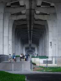 深圳城市建設的魅力❗