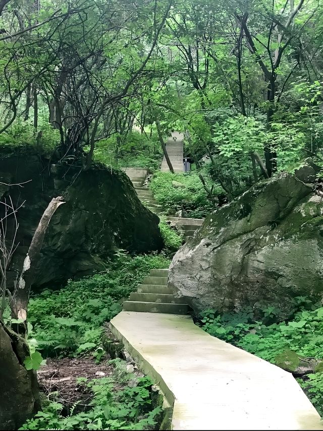 西安祥峪森林公園。 西安祥峪森林公園。