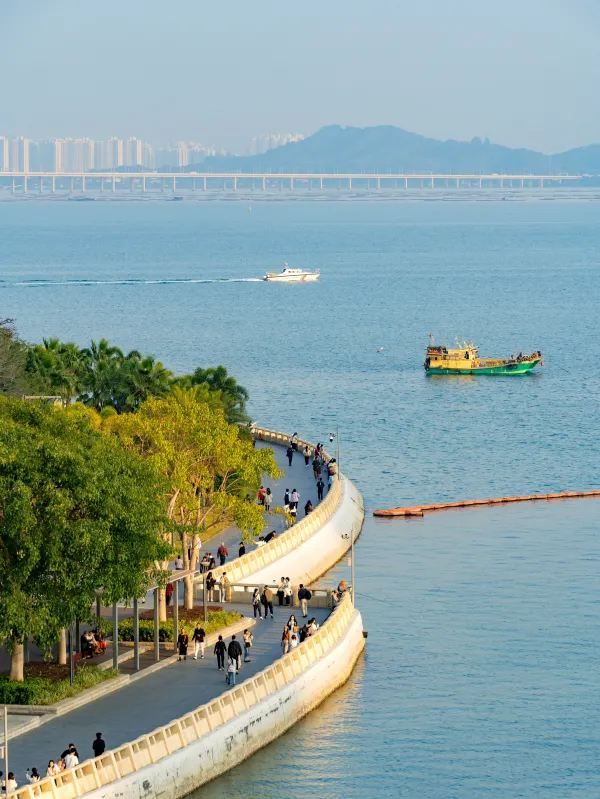 深圳市區的海邊秘境 🌊🏙️
