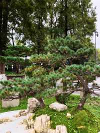 四川成都｜百花潭，走進花花的世界。
