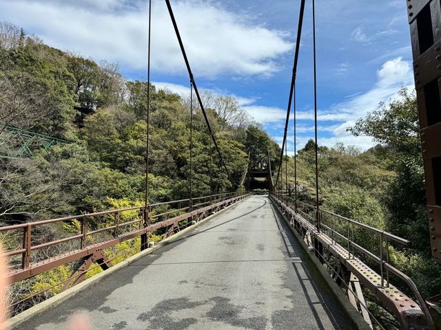 箱根秘境，金乃竹 塔澤：竹取物語中的私湯仙境。