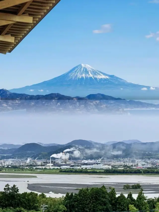 Shizuoka is a region full of natural beauty and historical culture! 