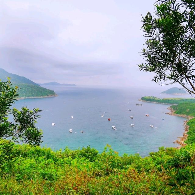 蝦山篤•大廟•布袋澳