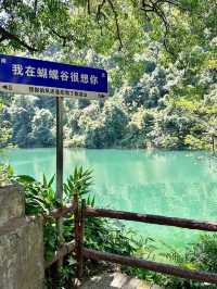 肇慶蝴蝶谷。