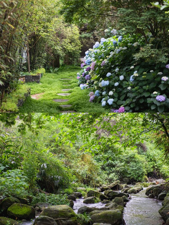 峨眉民宿｜山野小院·拈花溪，盛夏避暑好去處！。
