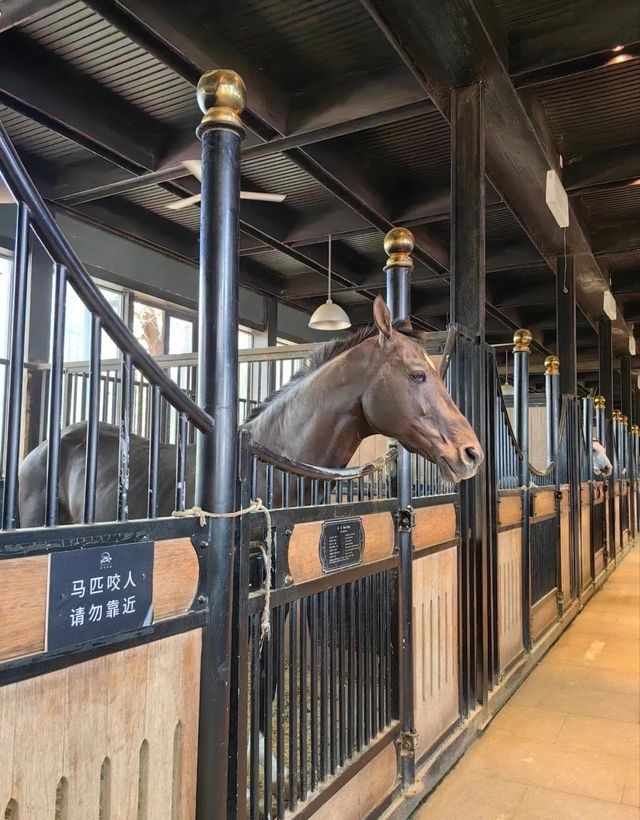 烏市必玩：野馬生態園。
