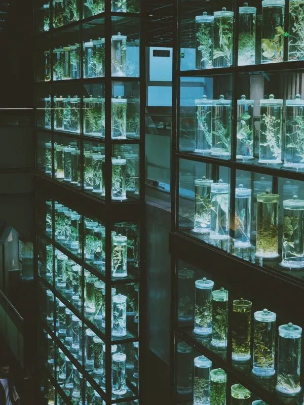 一定是廣州夢核感最強的博物館❗📸