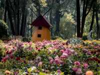 Stunning Park in Xining!