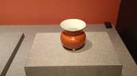 20241002  五光十色——故宮博物院藏古代顏色釉瓷器展。
