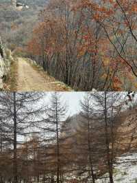 10月20日中台山雪景實拍。