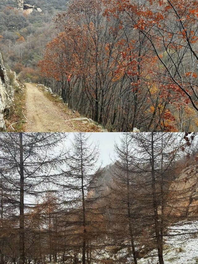 10月20日中台山雪景實拍。