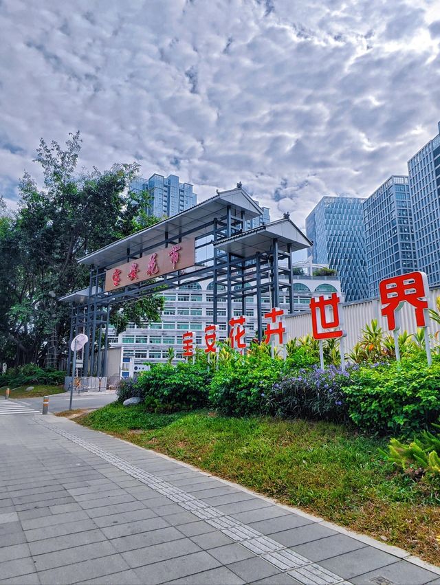 坪洲花市‖逛完花市來特產店買點。