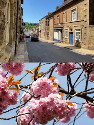 Harrogate Travel Guide
