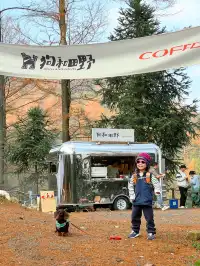 酷酷酷酷酷~金錢松又到一年最美的季節。