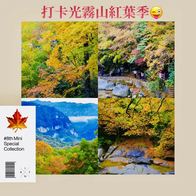 秋天來光霧山賞紅葉啦🍁