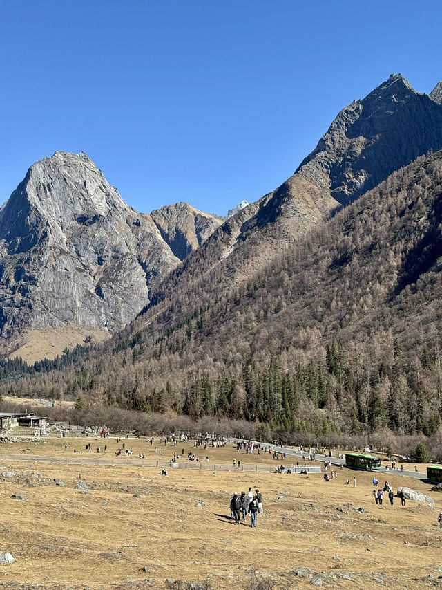 冬天的四姑娘山看到了日照金色雪山。