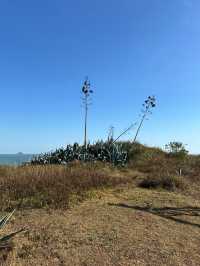 呢個真係分唔清外嶼同濟州島。