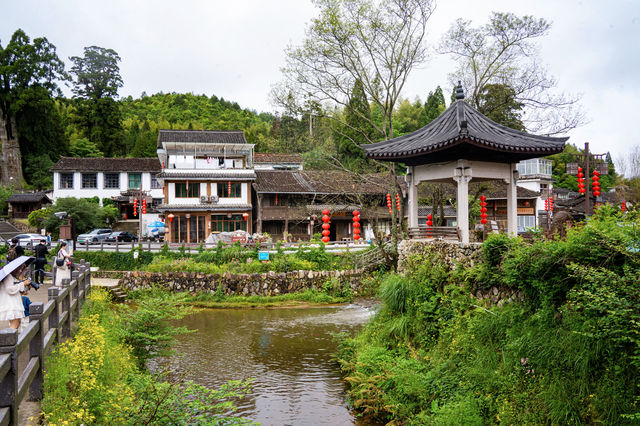 隱匿深山之中的幽靜古剎，時思寺