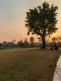 陳村新開發的公園！露營釣魚放風箏踩單車一園俱全
