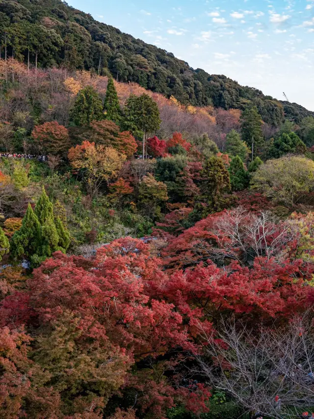 6-Day Japan Tour: Hot Spring Experience