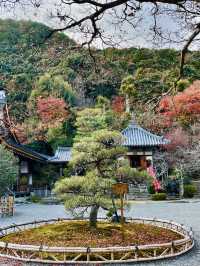 日本·京都嵐山二尊院