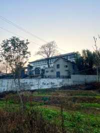 中華山鳥類省級自然保護區