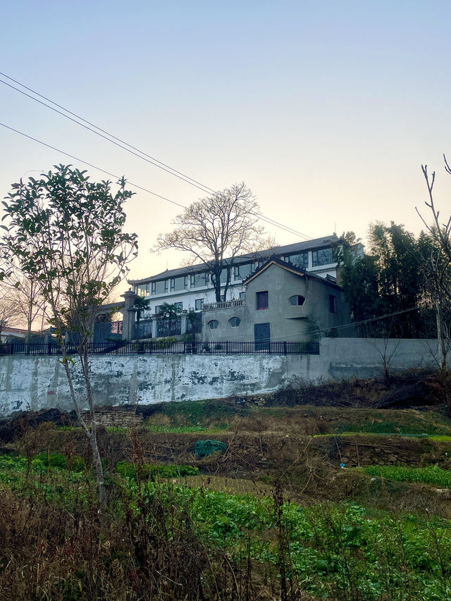 中華山鳥類省級自然保護區