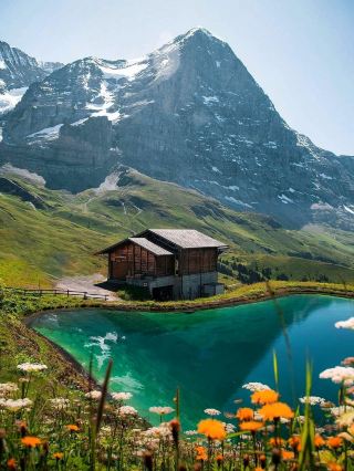 Winter in Switzerland: 5-Day Tour for 6–15 People, from 1.2k per Person