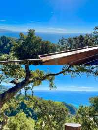 時效 Trip 分享｜2024年的 Big Sur 已綠！快衝！