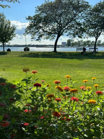 ทิวทัศน์อันน่าทึ่งรอบ ๆ ลิตเติ้ลลอนดอน และค้นพบเสน่ห์อันไร้ขอบเขตของอ่าวซาร์เนีย