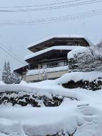暴雪抵達藏王 化身童話世界 瘋狂出片的一天