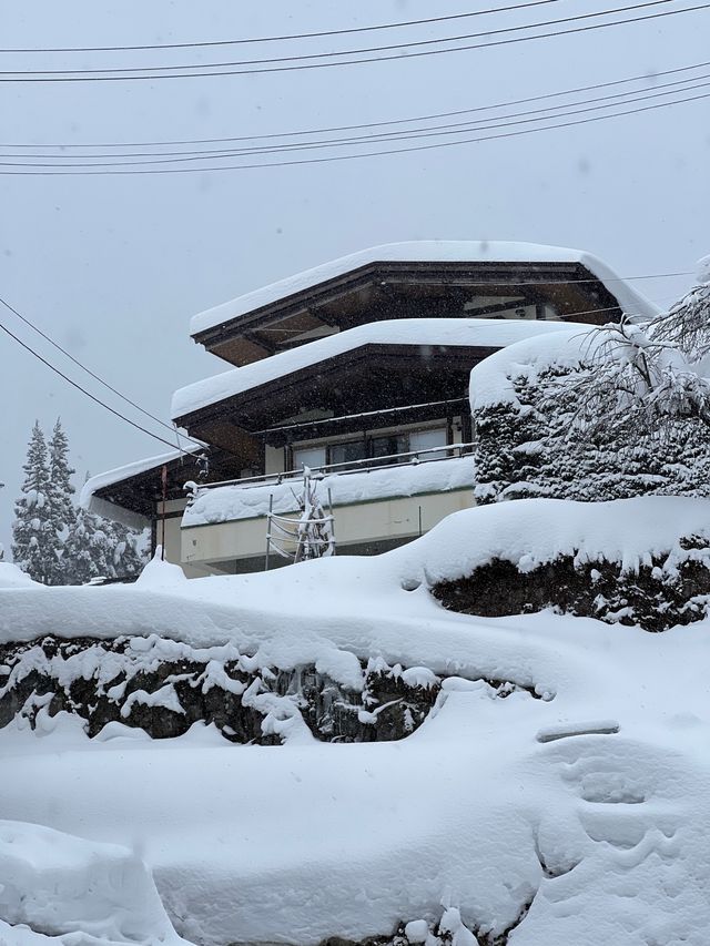暴雪抵達藏王 化身童話世界 瘋狂出片的一天
