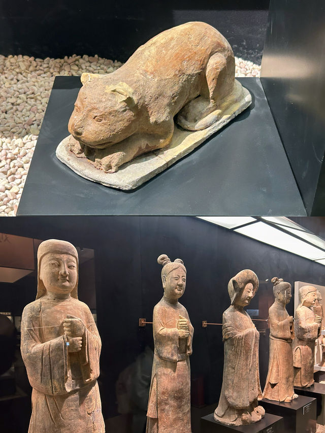 福建博物院｜玩全攻略