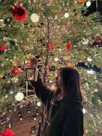 Experience a Magical Christmas at Karuizawa Highland Church in 2024