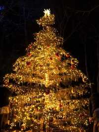 Karuizawa Highland Church Christmas Lighting Guide