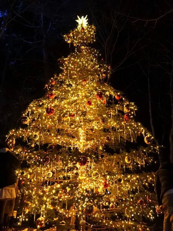 Karuizawa Highland Church Christmas Lighting Guide