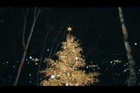 Experience the Magic of the Christmas Illumination at Karuizawa Kogen Church