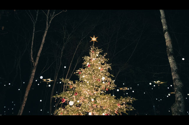 Experience the Magic of the Christmas Illumination at Karuizawa Kogen Church